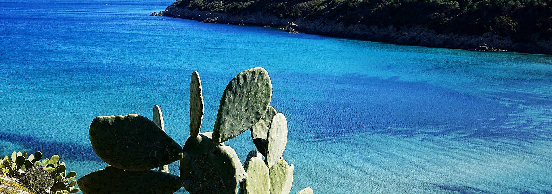 Marina di Campo, Island of Elba