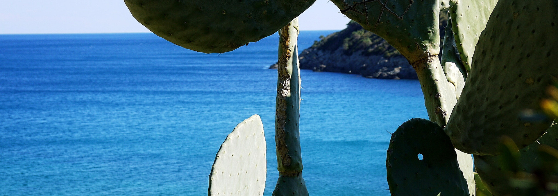 Marina di Campo, Island of Elba